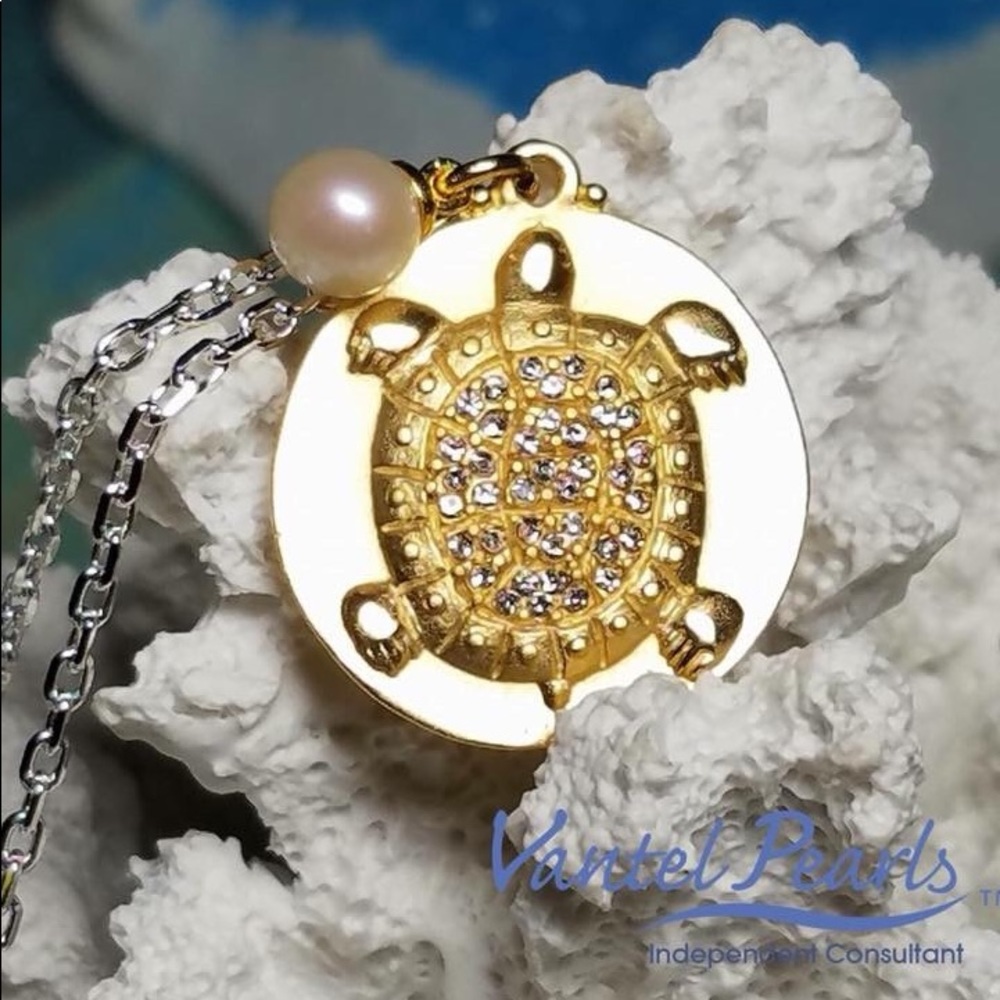 One step at a time necklace *RETIRED* - Picture 3 of 3